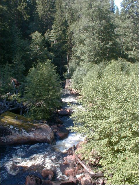 030720_12.21_01.jpg
