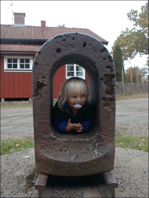 hammarhuvud5.jpg