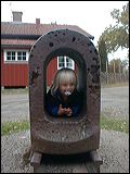 hammarhuvud5
