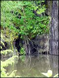 p7110097