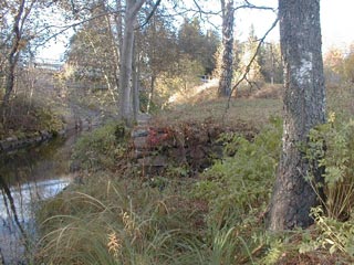Ruin Kvarn