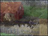 030728_15.42_01_owl