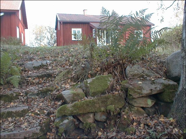 021010_16.21_04.jpg