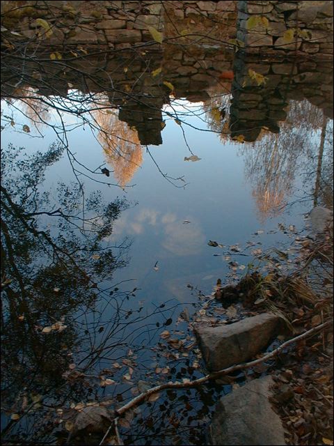 021010_16.29_03.jpg
