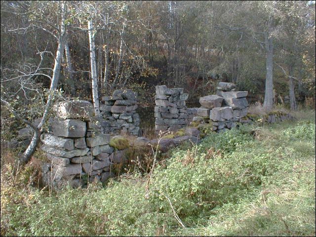 ruin_sag_021017.jpg